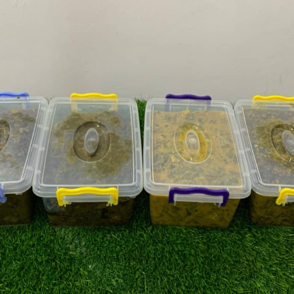 WhatsApp Image 2025-04-02 at 18.21.34