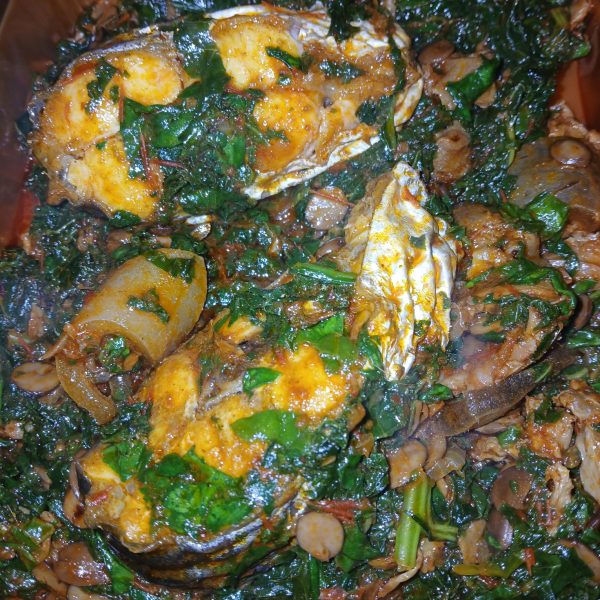 WhatsApp Image 2025-04-02 at 18.21.49