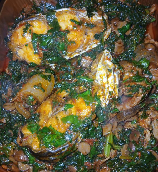 WhatsApp Image 2025-04-02 at 18.21.49